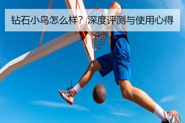 钻石小鸟怎么样？深度评测与使用心得（milansports）